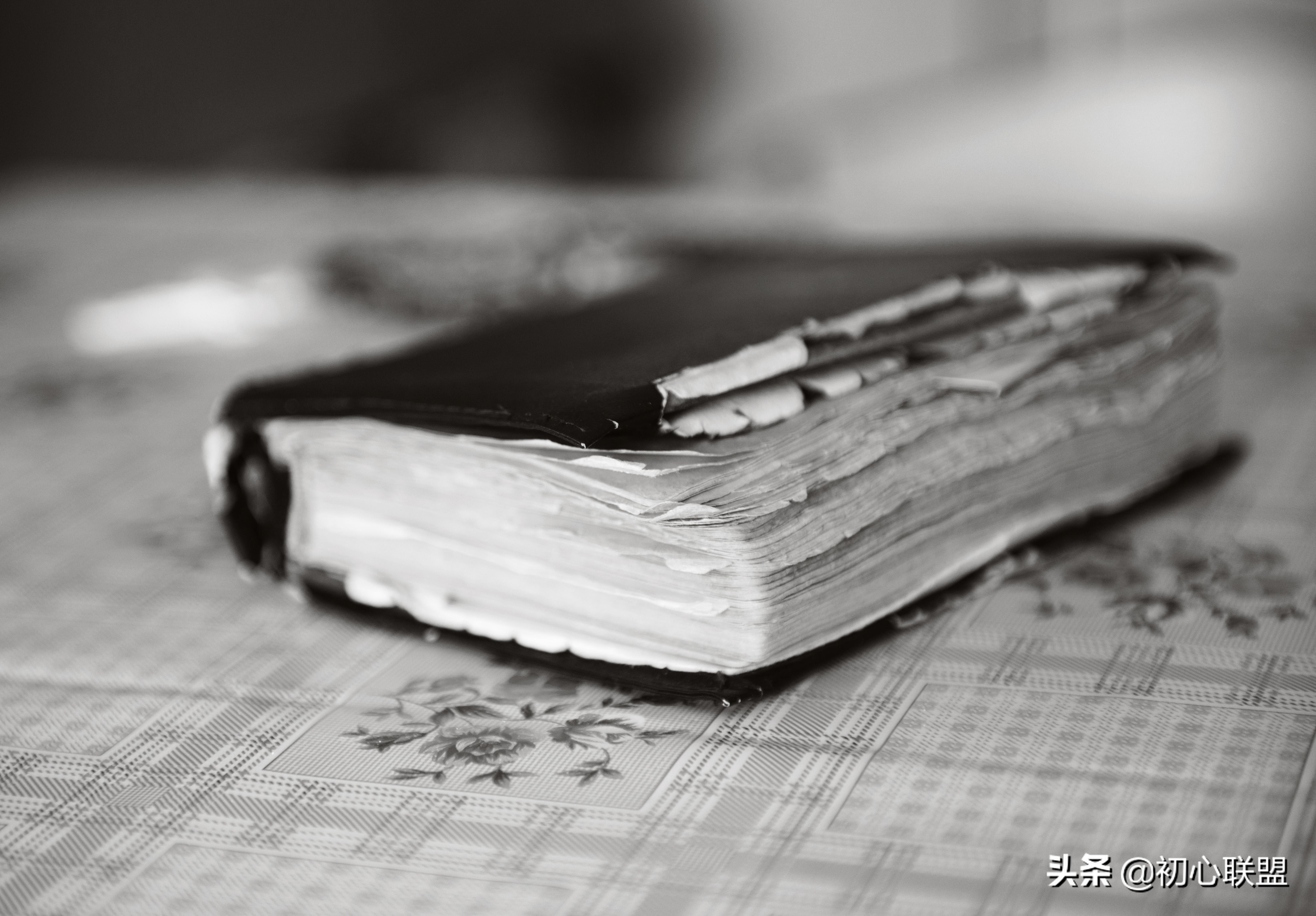 2019西安外国语大学日语语言文学经验贴+真题回忆