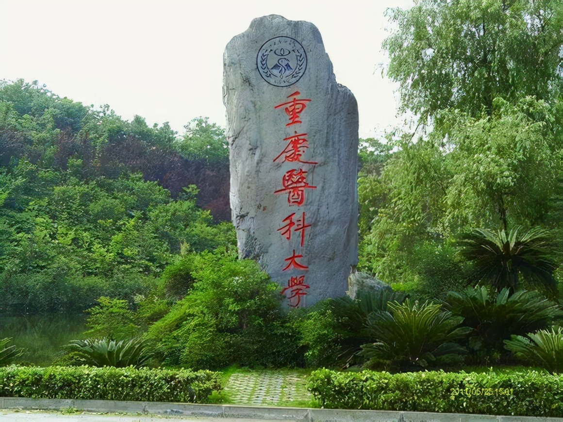 重庆一所高校力争双一流，复旦大学牵手协助，重庆学子有福了