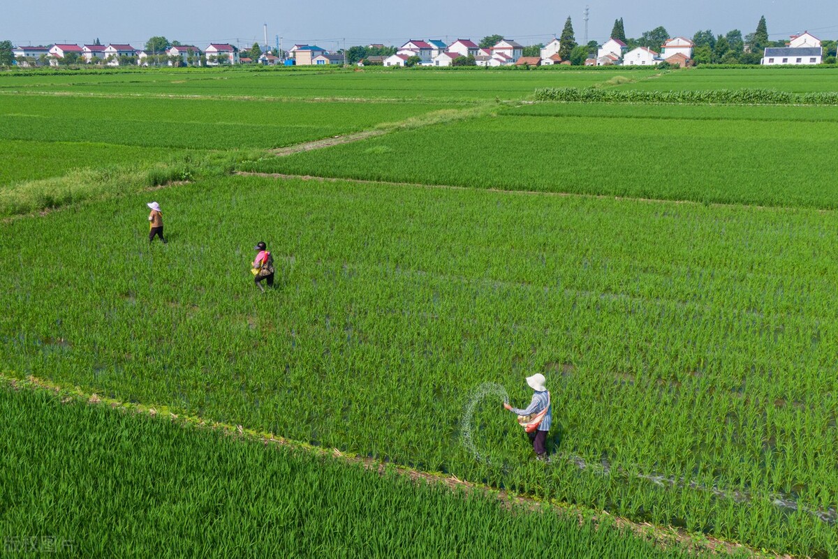 华南农业大学能否入选第二轮“双一流”建设高校？