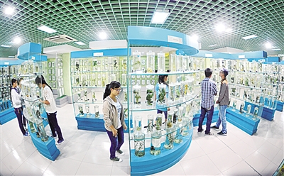 守正传承增福祉 创新发展惠民生——全市中医药事业发展综述