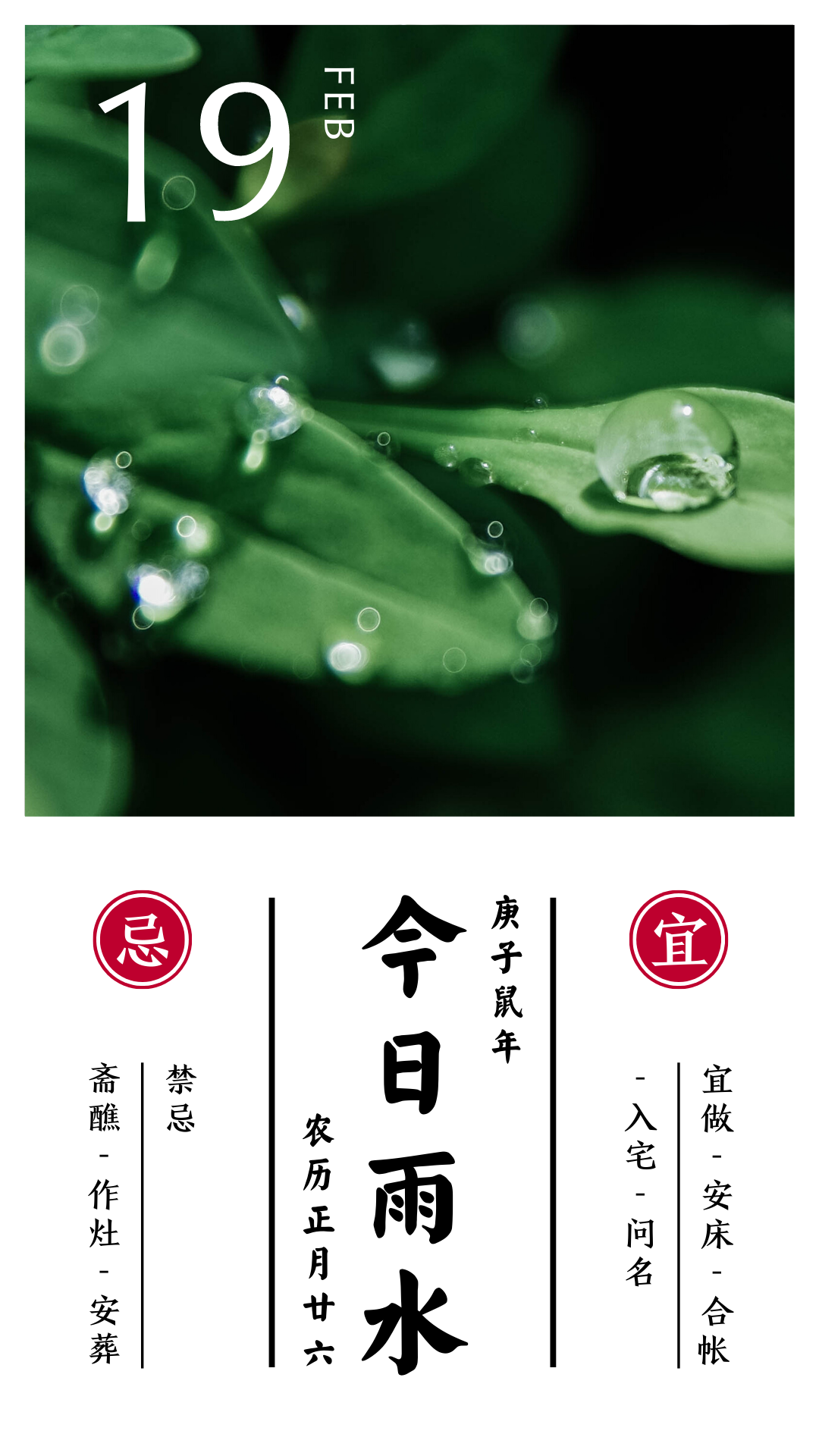 雨水润物声，江南烟雨情。