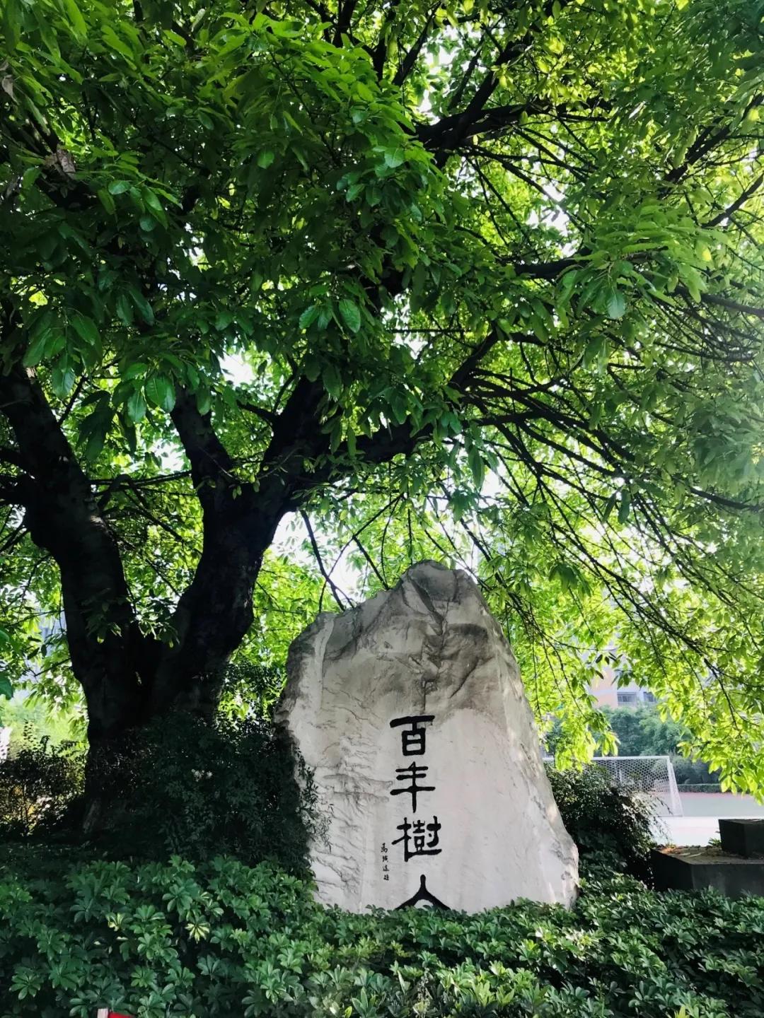 成都这些高校的附属中学，和其他中学又有啥区别呢？