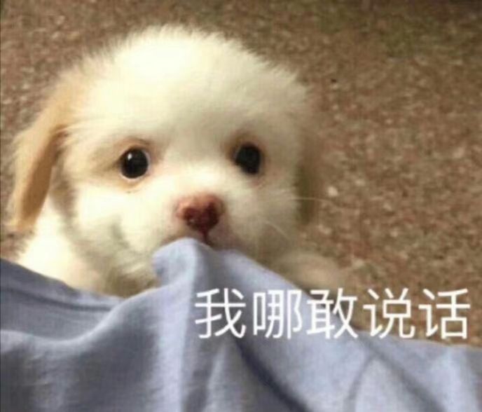 有哪些值得摘抄的句子？网易热评
