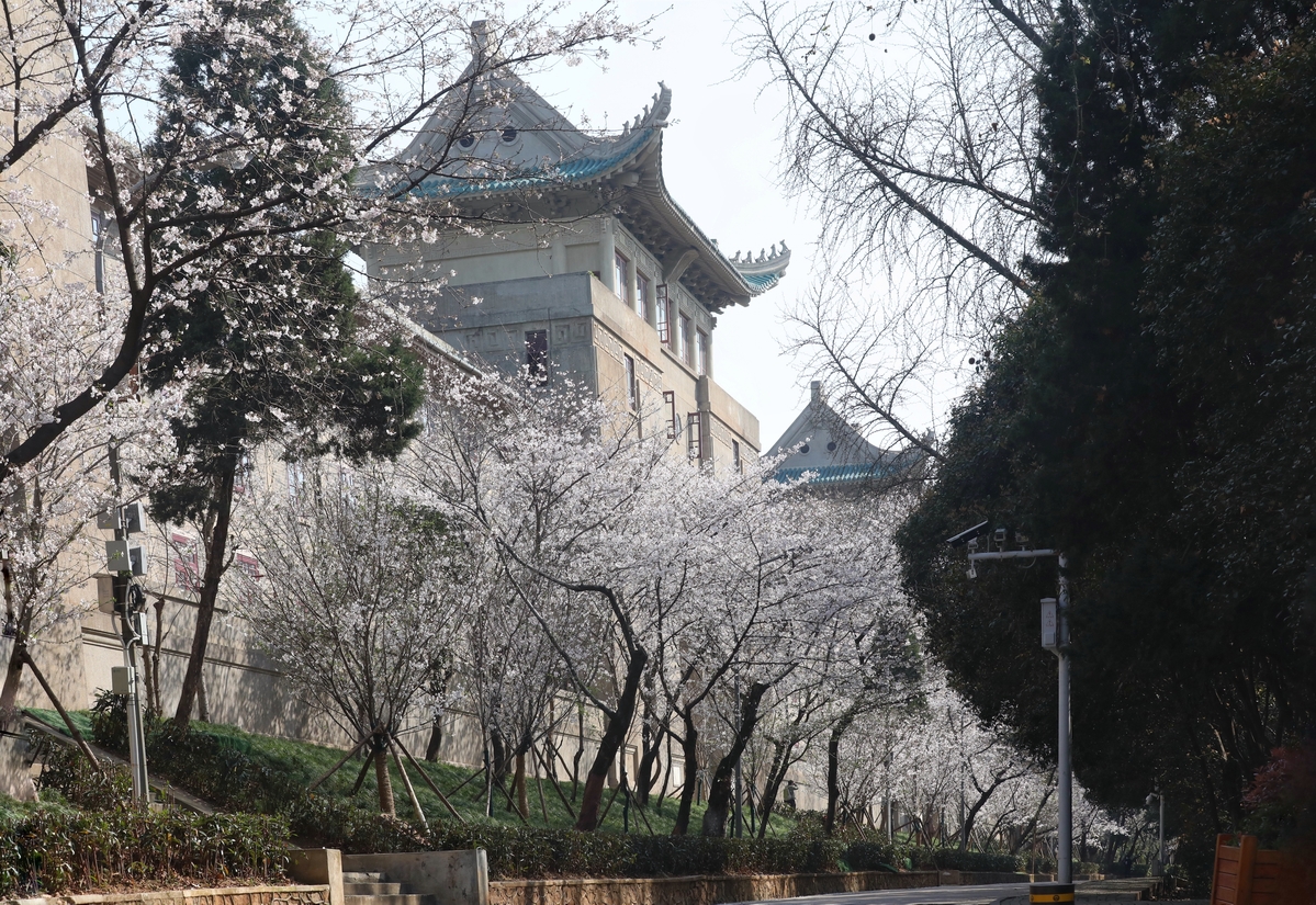 以省会城市命名的高校如何选择？位置、实力、前景需通盘考虑