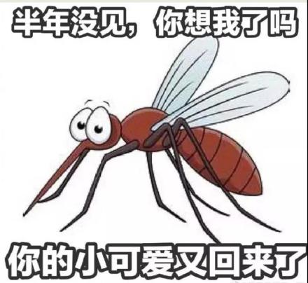 关于蚊子的表情包：请问你为什么咬我