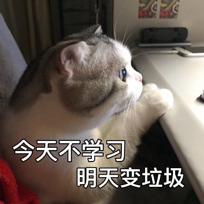 表情包：我就看看我不吃