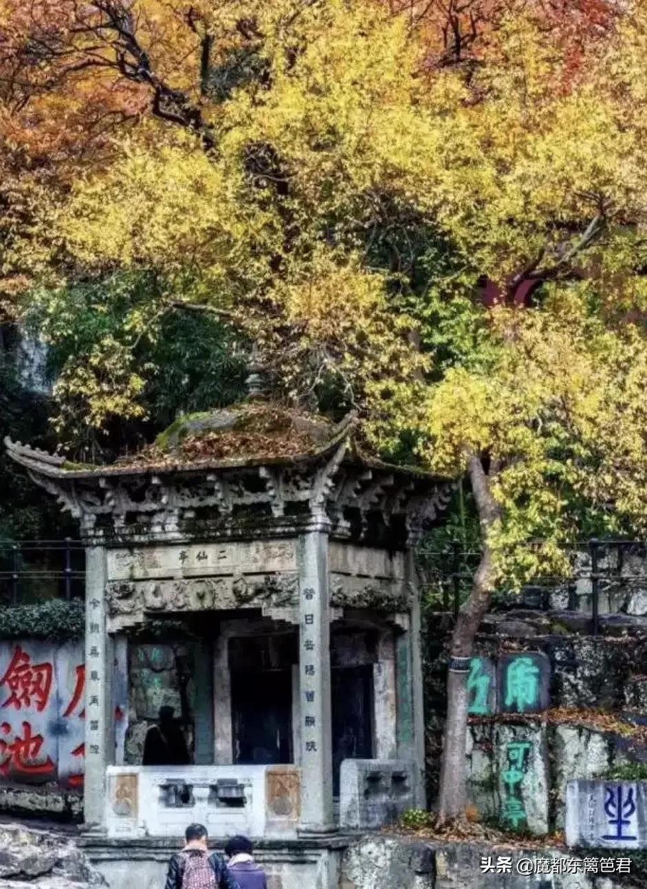 原创诗词 游虎丘有感（游虎丘小记）