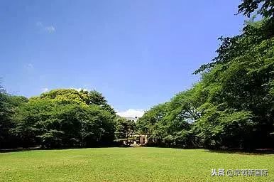 东京大学：历史古都中的现代学府