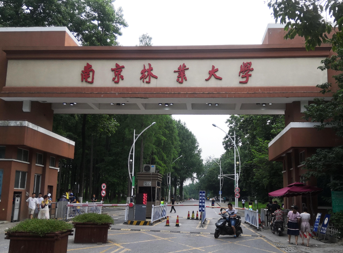 一线城市南京的南京林业大学,简称南林,这所大学既不是985,也不是211