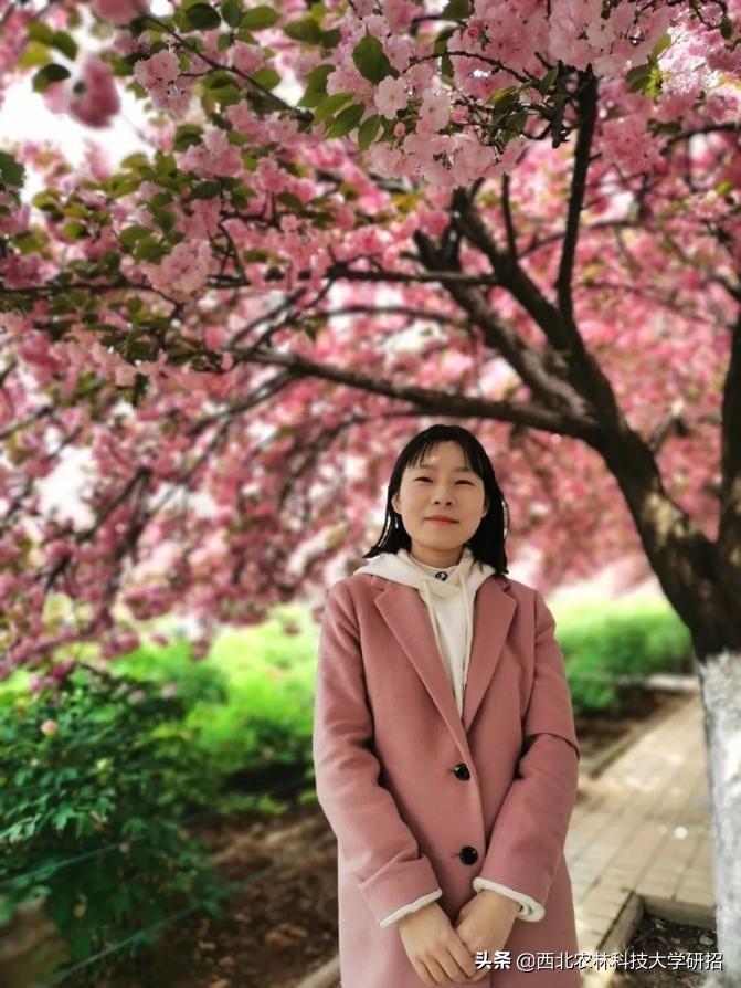 发表10篇一作SCI，助力地方发展，陕西这群“农业”研究生火了