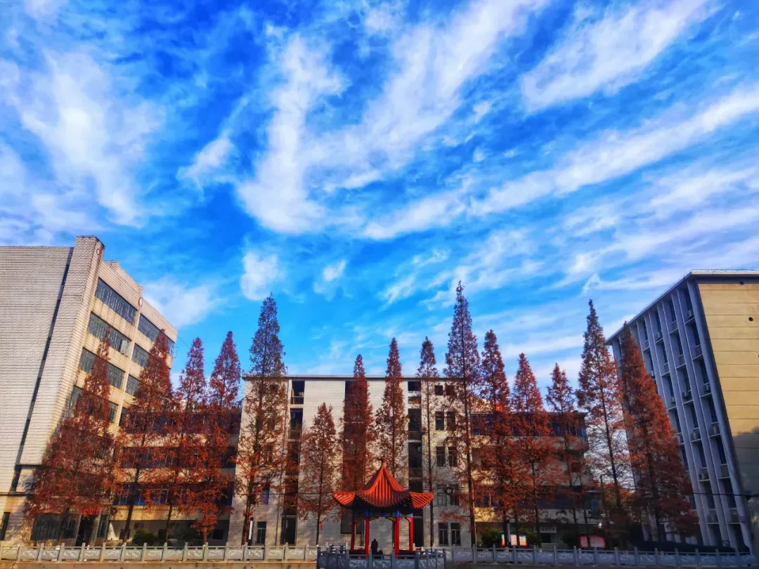 占地2000余亩，投资8000万建新宿舍，湖北这所大学“太豪华”