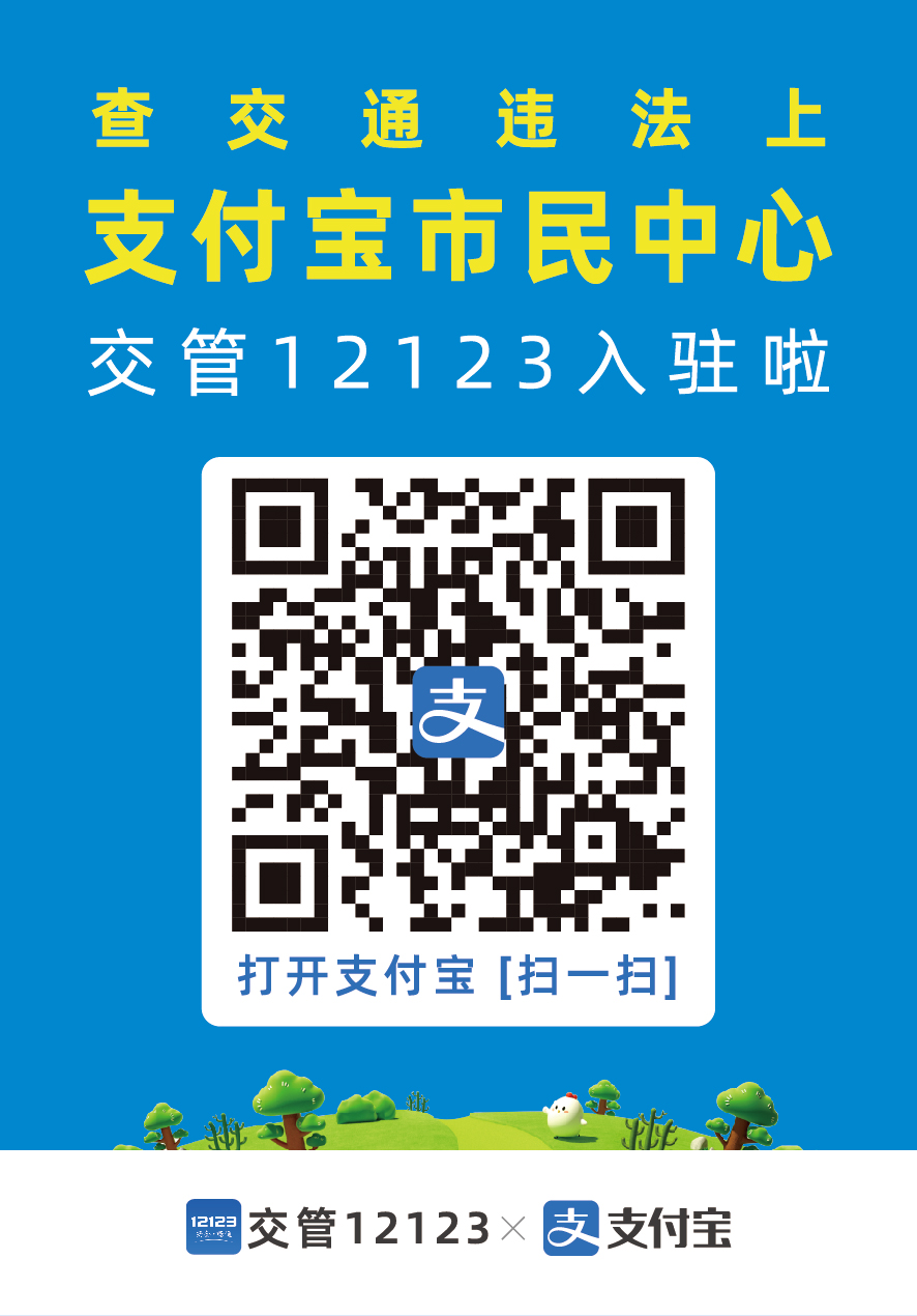 河北省机动车违章查询,河北省机动车违章查询官方网
