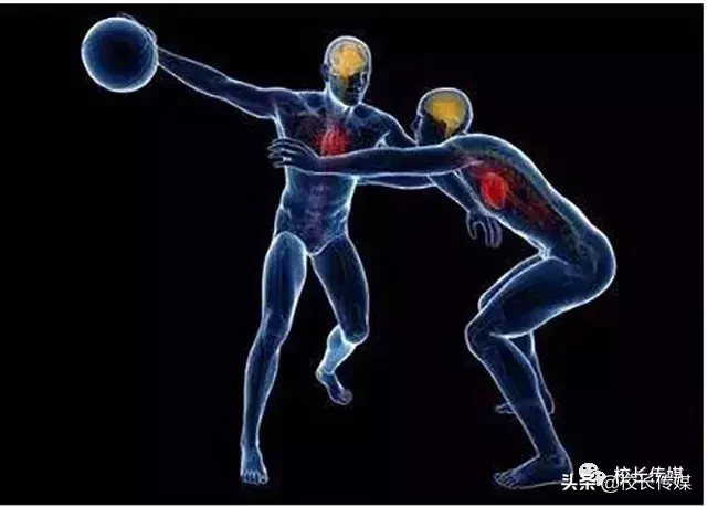 脑科学研究:你永远想不到运动能让大脑变得多么强大