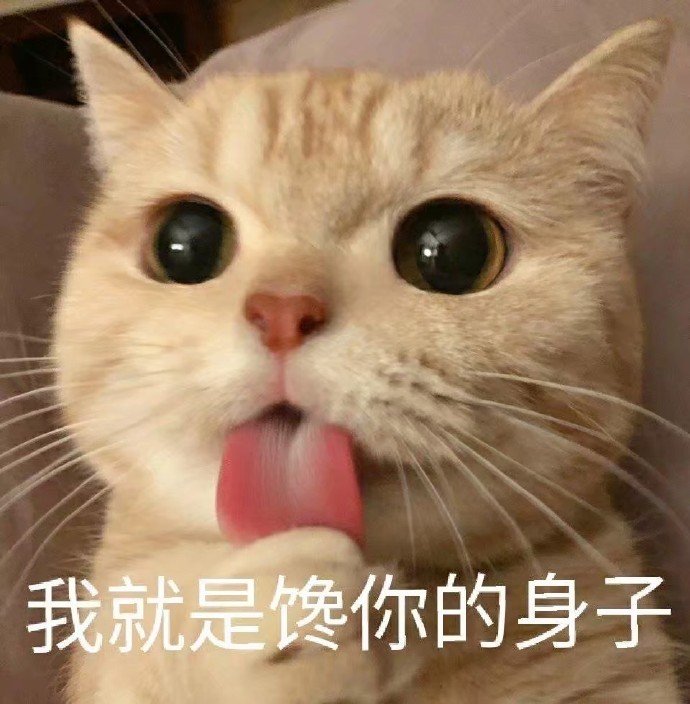 猫咪表情包合集｜我就是馋你的身子