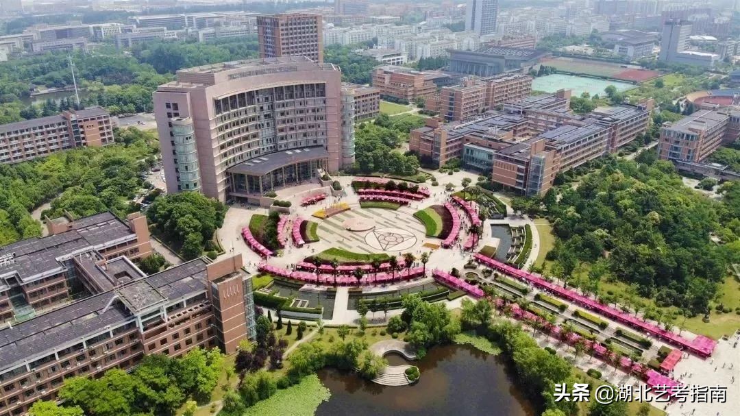 「公布了！」国美西音等部分专业院校录取控制分数线已划定