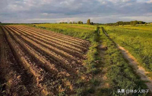 农村承包土地能抵押贷款吗?2020年最新政策是怎样