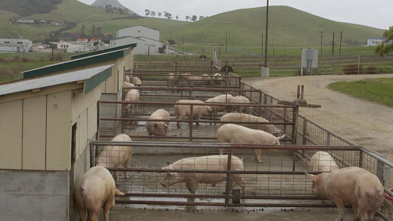 一句借口，说拆就拆，真够敢的！老百姓怎么应对？