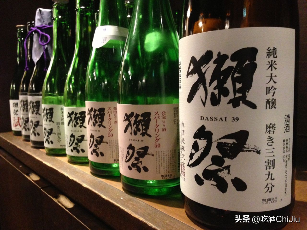 獭祭怎么读？详解獭祭的正确发音方法