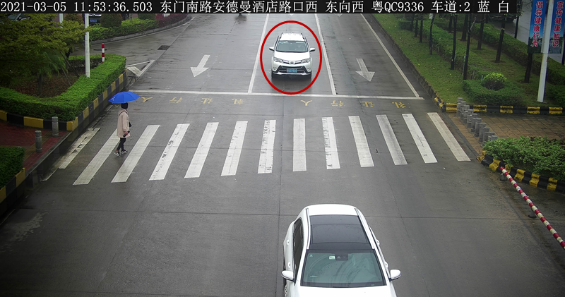 交通违法曝光！