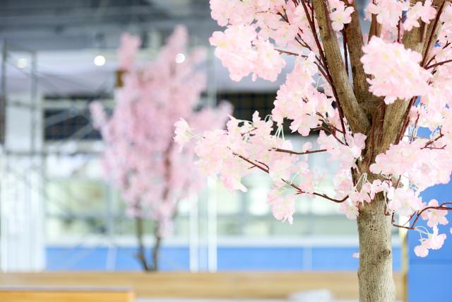 2019萌新“驾到”，中国药科大学带你直击现场！