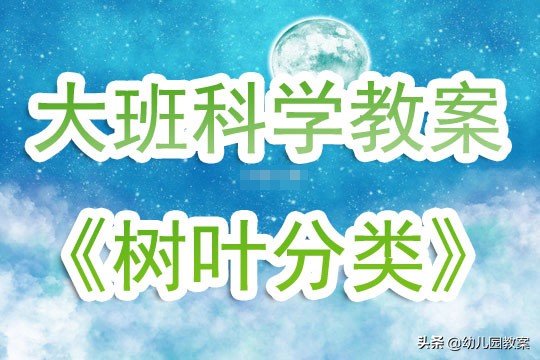 幼儿园大班科学活动教案《树叶分类》含反思