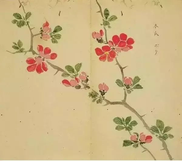 《诗经》太熟悉了吧,但《诗经》里的这些字,你认识吗?