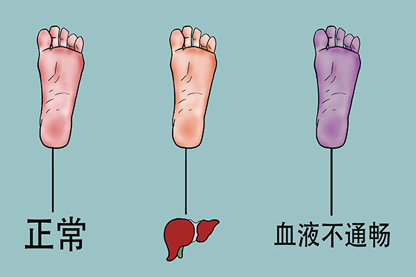 老没老，看看脚就知道！分享几个脚部养生方法，养好双脚寿命长