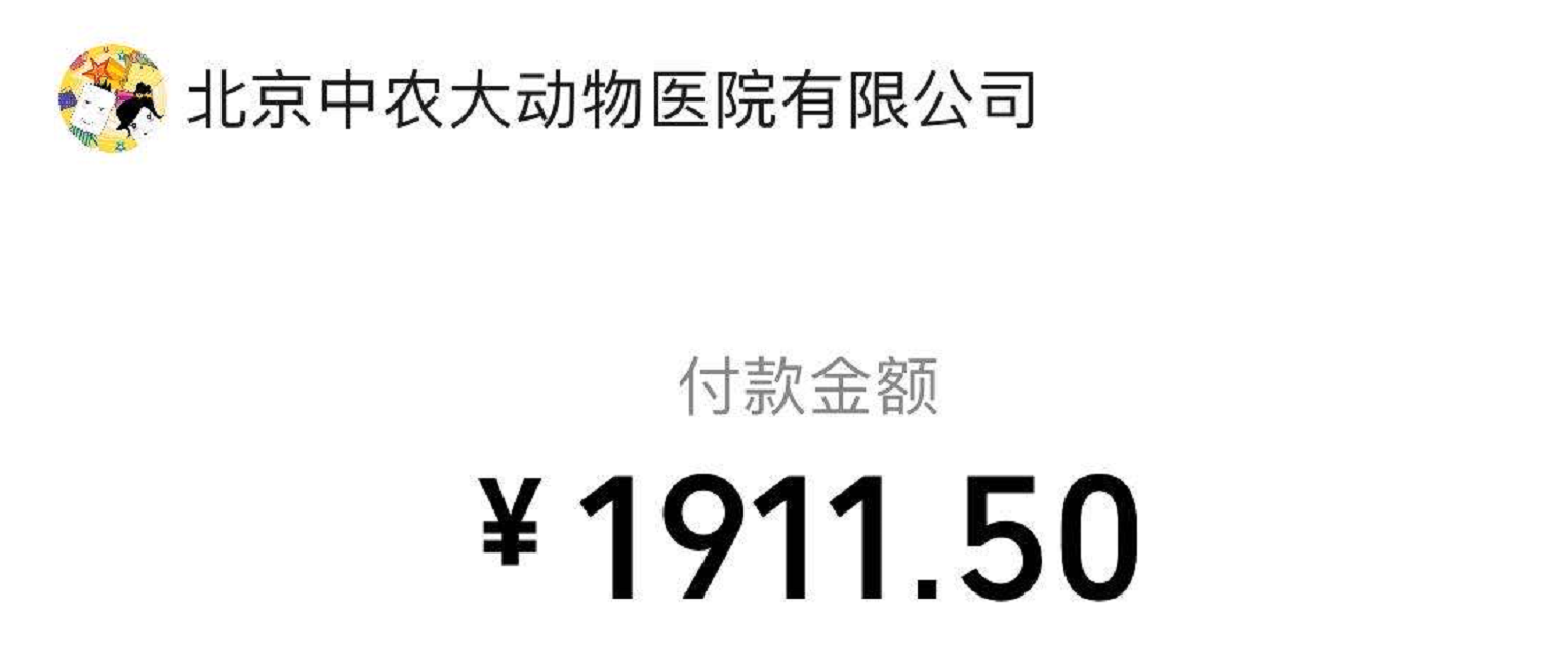 从2000到499，英短蓝猫波波亚的坎坷绝育记