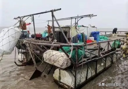 鱘魚怎么殺,鱘魚怎么做法
