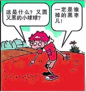 我是个小天才，一定可以解开世界难题。（写下密密麻麻的公式却全部错误）