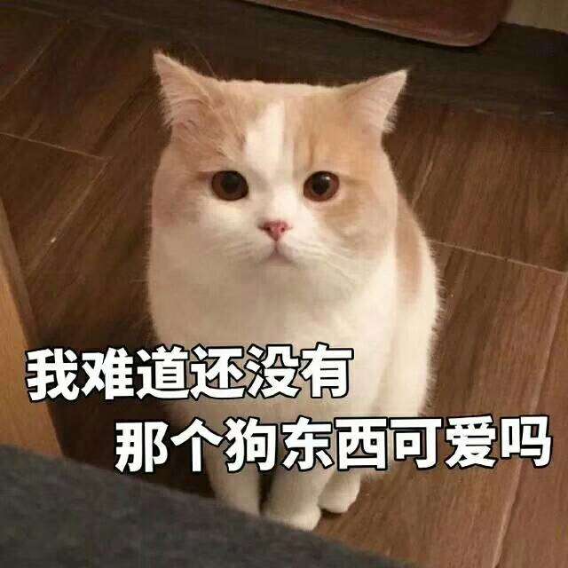 表情包：生活终于对我下口了