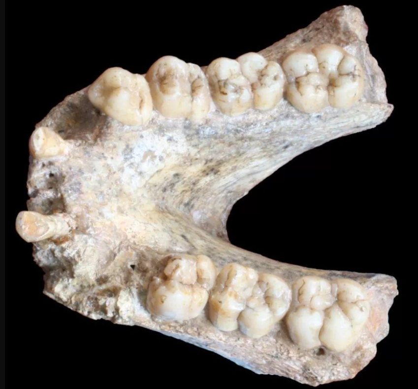 中国人非本地起源？研究：现代人抵达华南不超过6万年