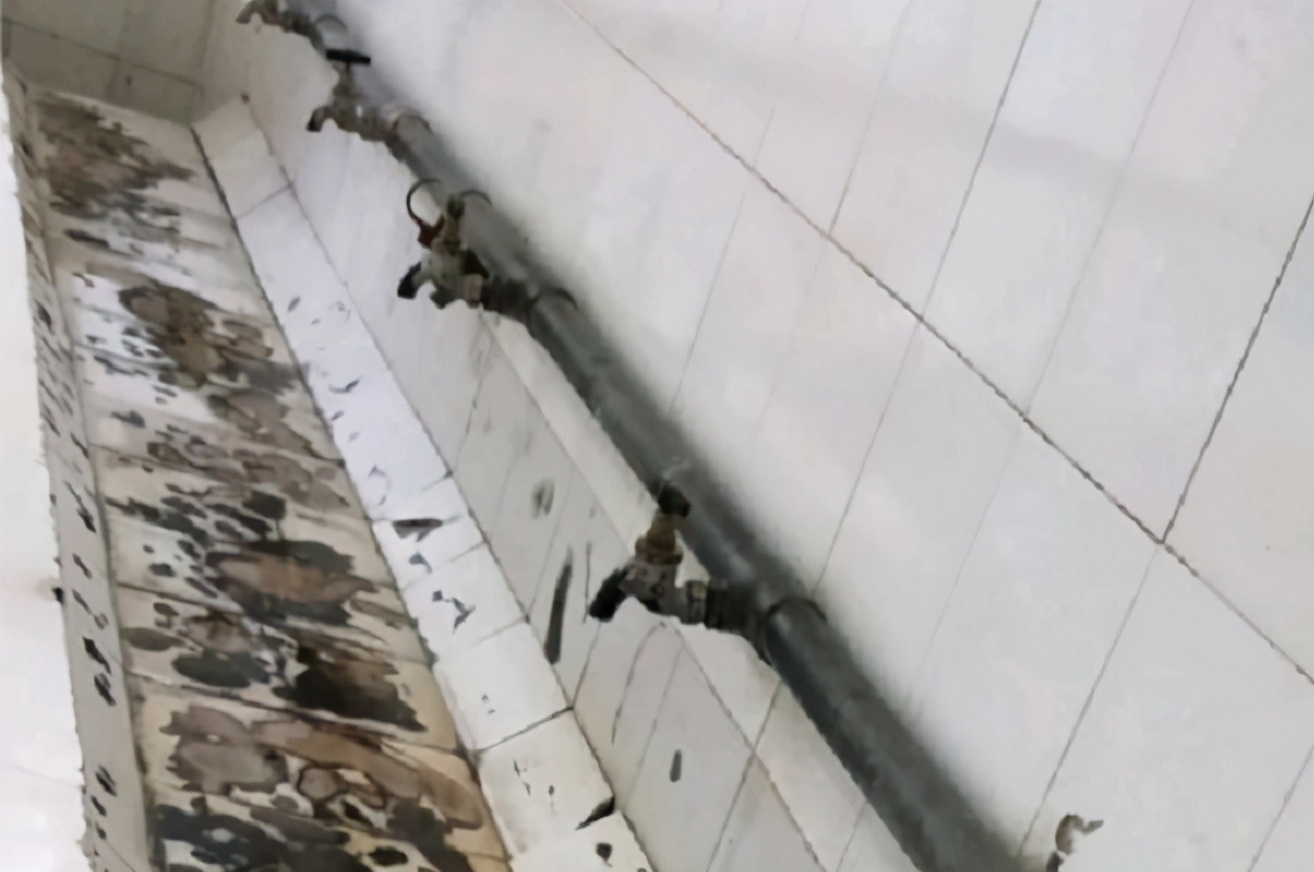 四川大学的“寒酸”宿舍，环境堪比贫民窟，新生吐槽：野外求生