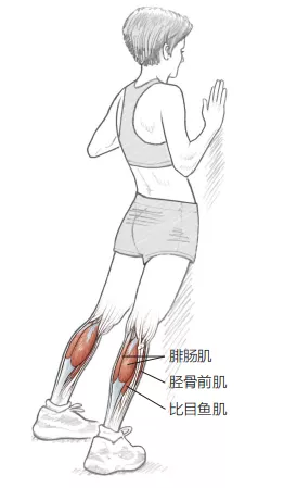 跑步這麼久，該如何預防或緩解隨之而來的身體損傷？