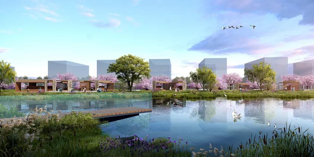 5大校区占地317万㎡、