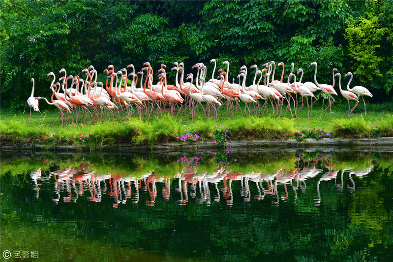 三天三夜欢乐长隆之旅（附攻略）