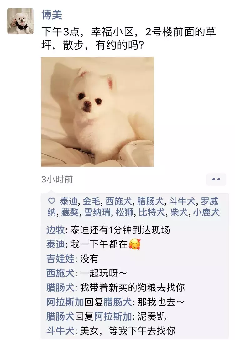 如果狗狗会发朋友圈，是什么样子？