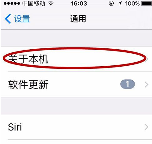 iPhone 11怎么查询激活时间？苹果手机激活时间的查询方法