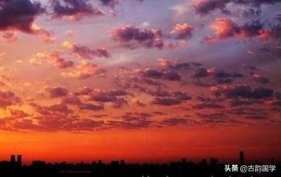 天气谚语267条：燕子低飞蛇过道-鸡不回笼喜鹊叫-大雨不久就来到