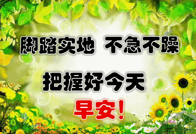 640_439gif 动态图 动图