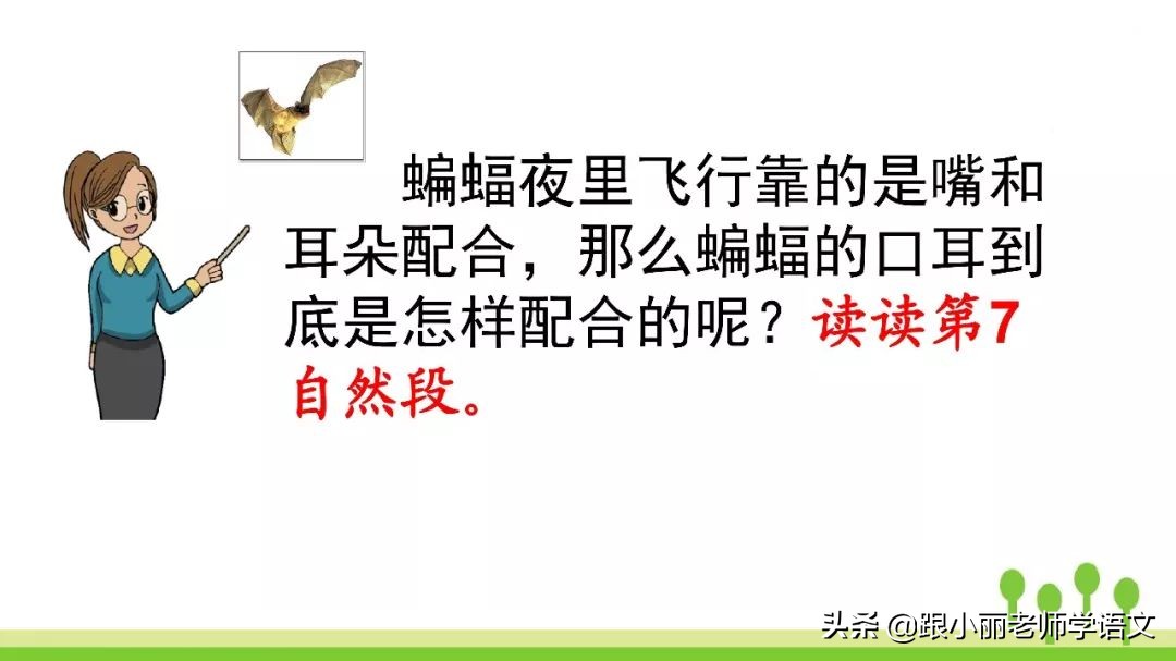 蝙蝠和雷达的名人名言