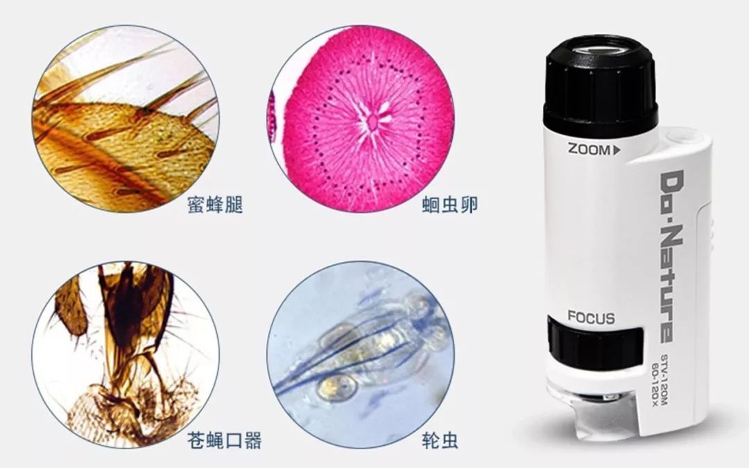 把视线放大120倍的家用显微镜,仅巴掌大小,扔给孩子能玩一天
