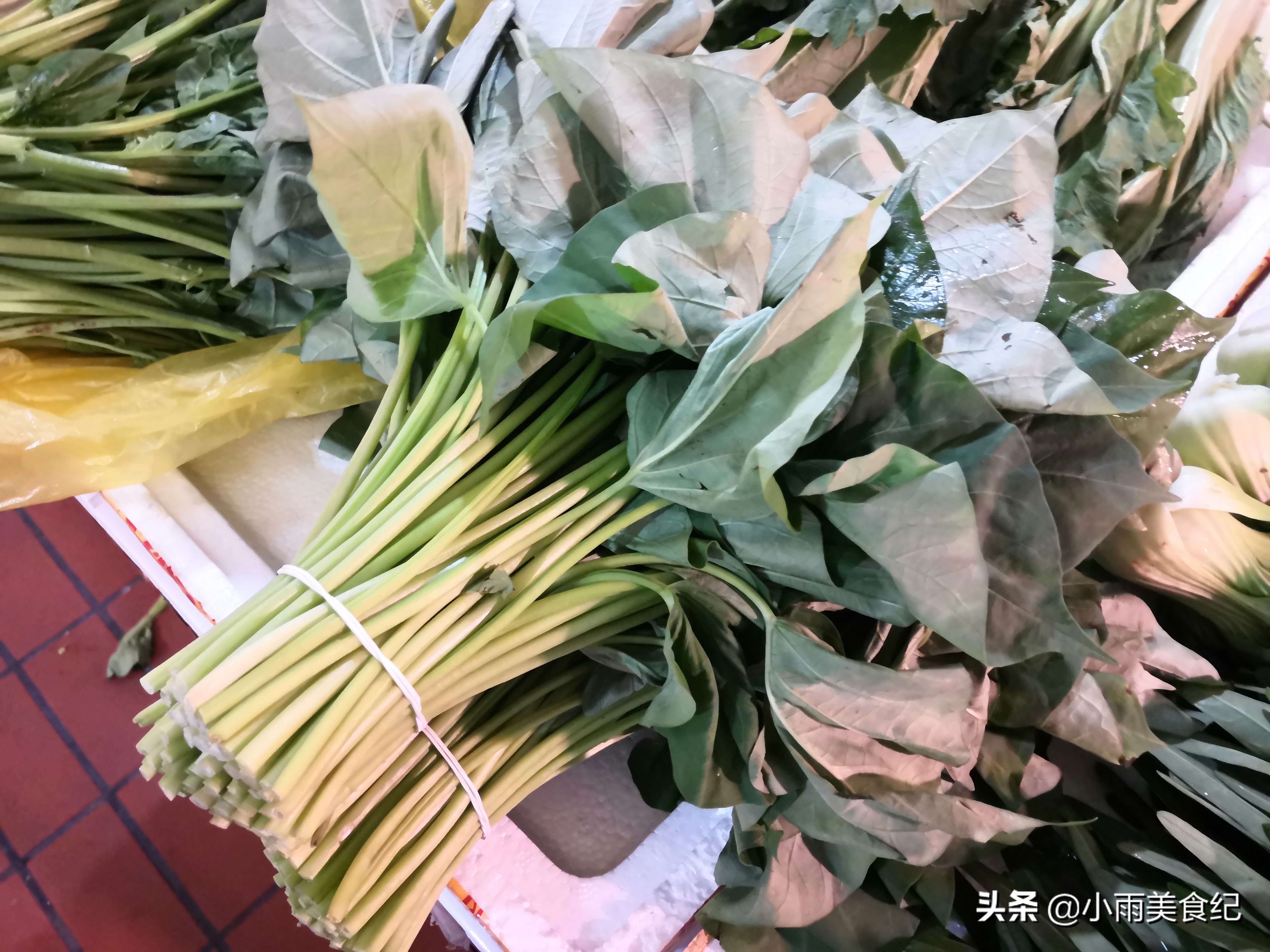碱性的蔬菜（多吃这10种碱性蔬菜应季而食营养又健康）