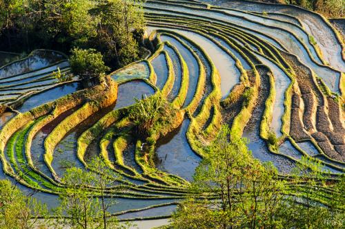 先秦诸子百家中，这个人文采最好，他的这些名句让人智慧飙升