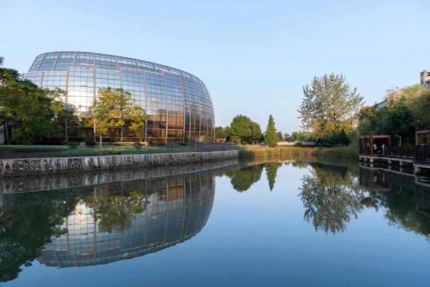 惊艳！央视多次报道！武汉有所高校超千人掌握这项“传统技艺”