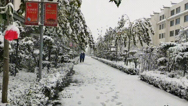 初雪中的开元学校，真美