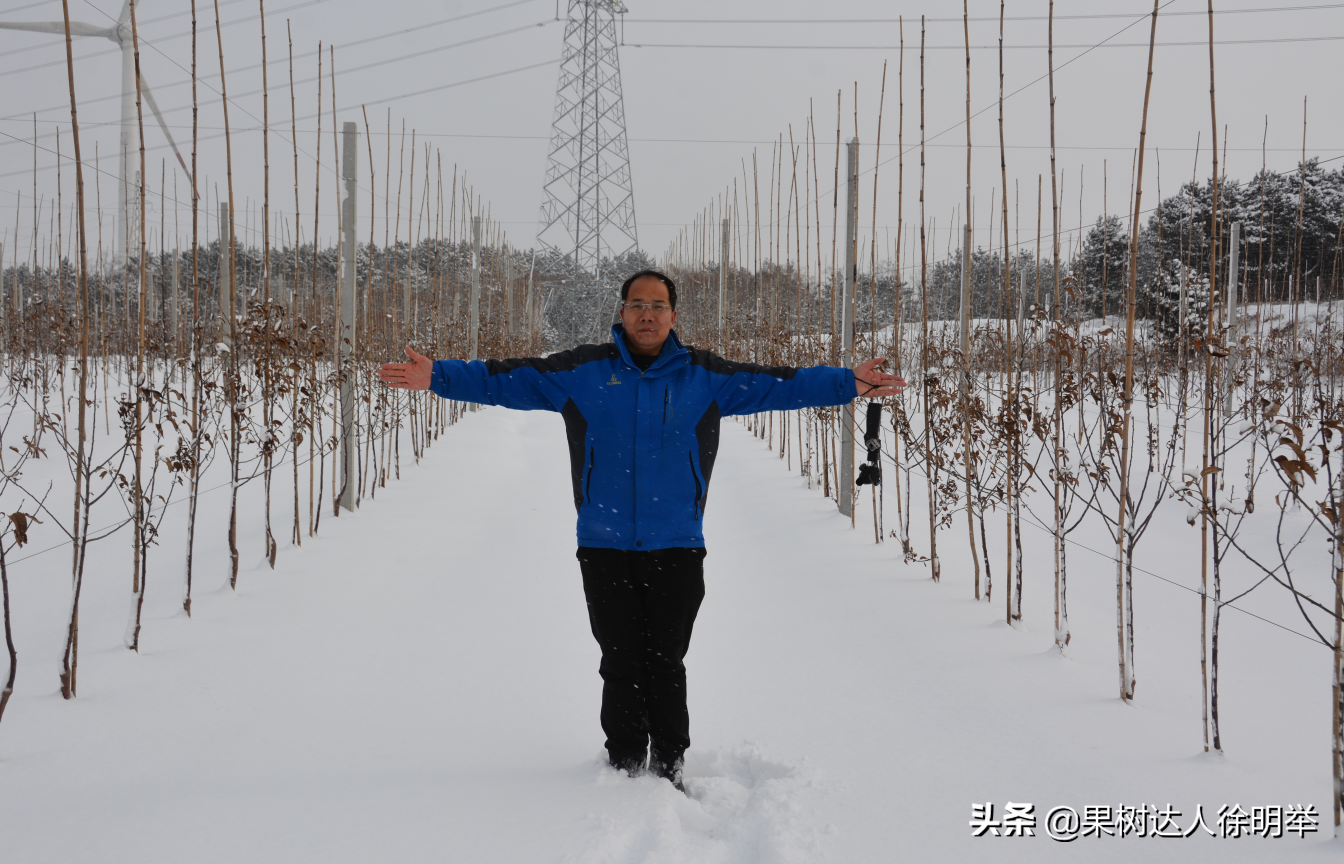 园艺技术学习好了到底能从事哪些工作呢