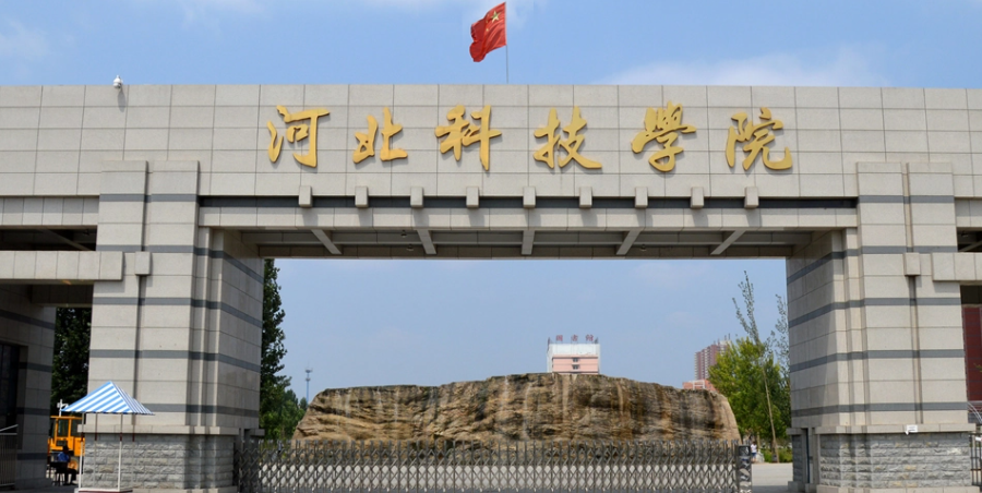 「专业分析丨学前教育」报考人数竟排文史第一