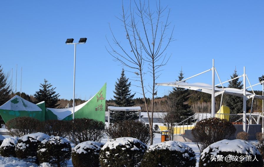 中国最北大学在哪里？