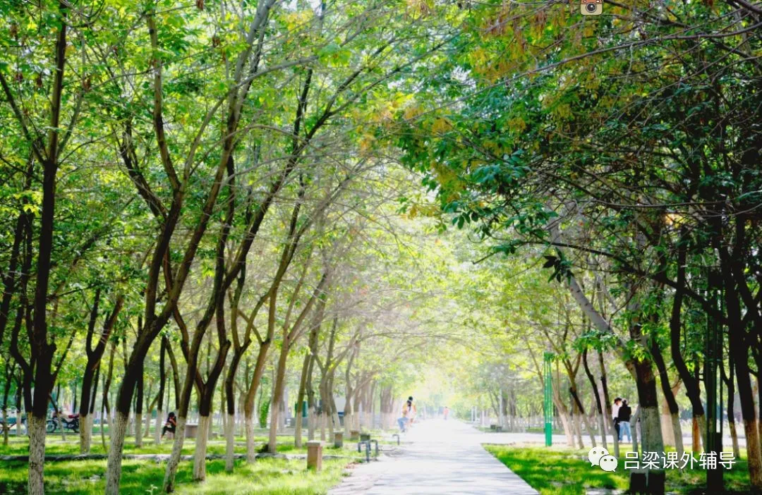 塔里木大学与二本低分志愿选择